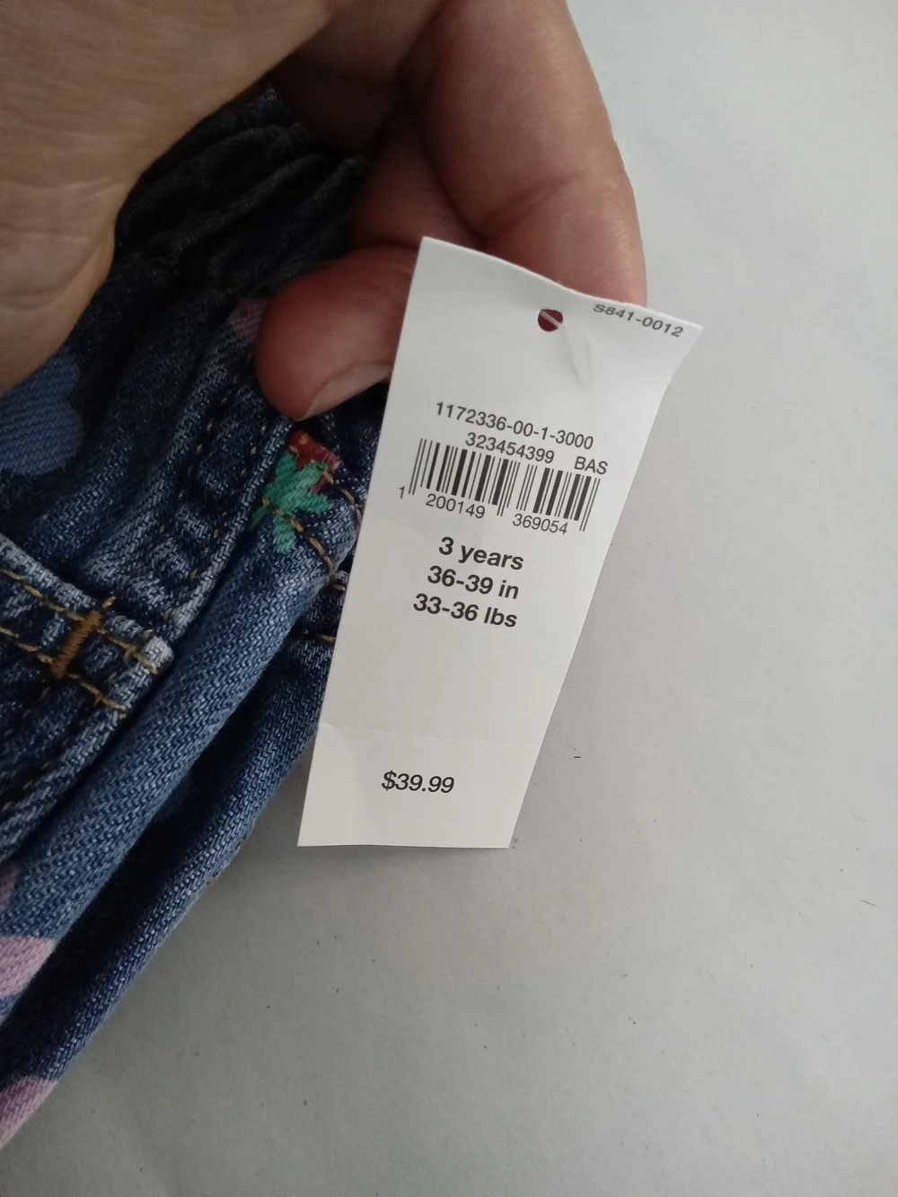 Baby Gap Girls Fruit Floral Denim Shorts Frayed Hem NWT